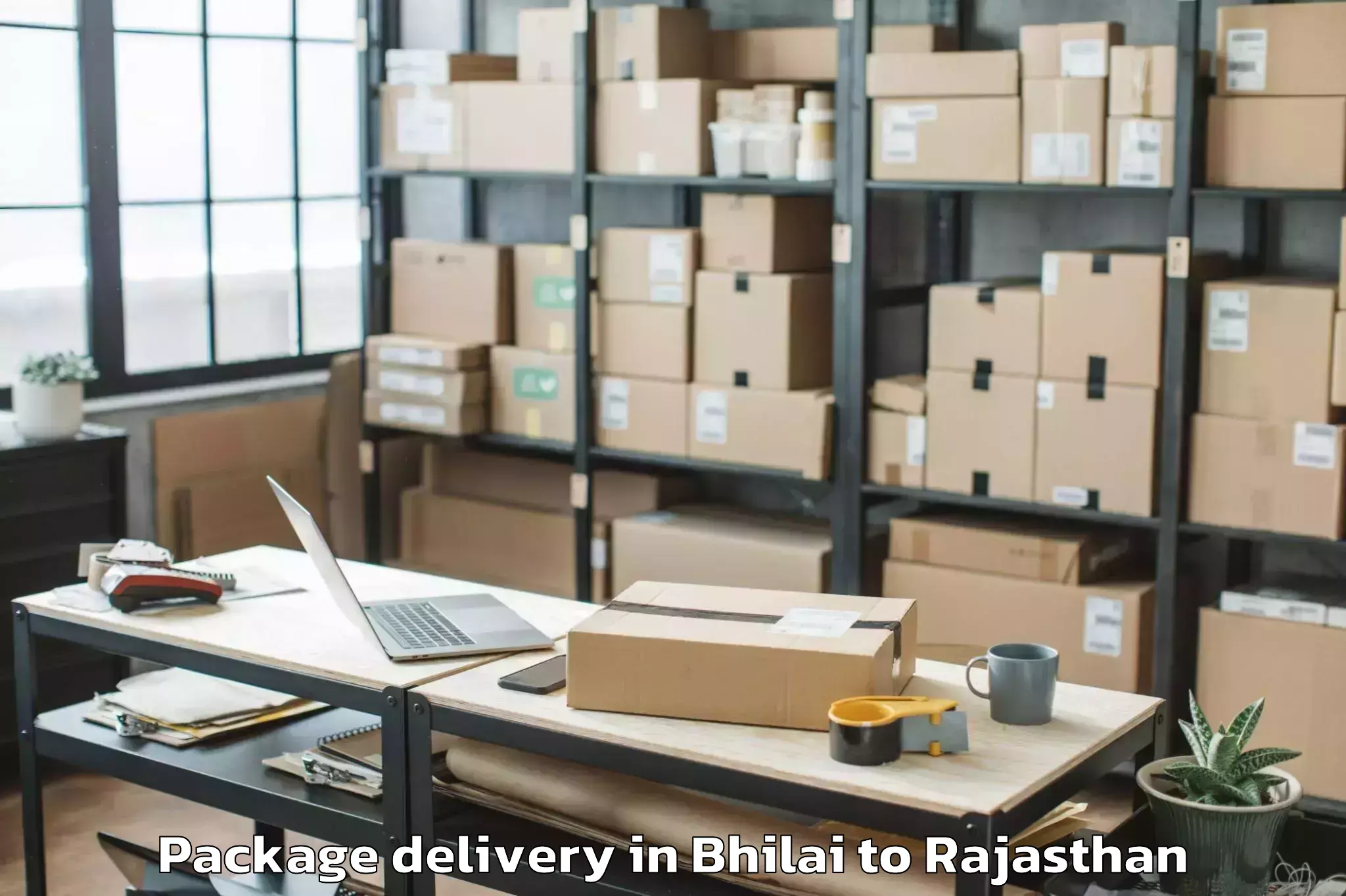 Bhilai to Mohanlal Sukhadia University U Package Delivery Booking